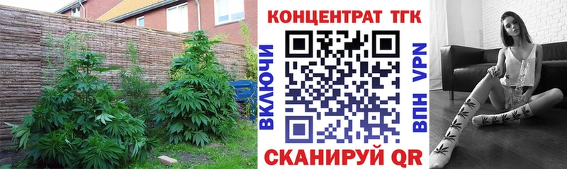Дистиллят ТГК THC oil купить цена Воронеж